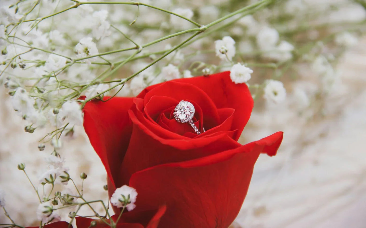 Top 5 Engagement Rings for a Valentine’s Day Proposal in 2025 - Larson Jewelers