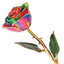 Gold Dipped Aurora Neon Rainbow Rose with Lacquer Coating - Larson Jewelers