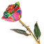Gold Dipped Aurora Neon Rainbow Rose with Lacquer Coating - Larson Jewelers