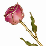 Lacquer Coated Pink Picasso Rose Dipped in Gold - Larson Jewelers