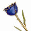 Lacquer Coated Gold Dipped Blue Violet Pearl Rose - Larson Jewelers