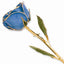 Gold Dipped Authentic Blue Rose with Lacquer Finish - Larson Jewelers