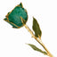 Gold Dipped Green Rose with Lacquer Finish - Larson Jewelers