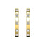 Diamond 1/10 ct tw Hoop Earrings in 10K Yellow Gold - Larson Jewelers